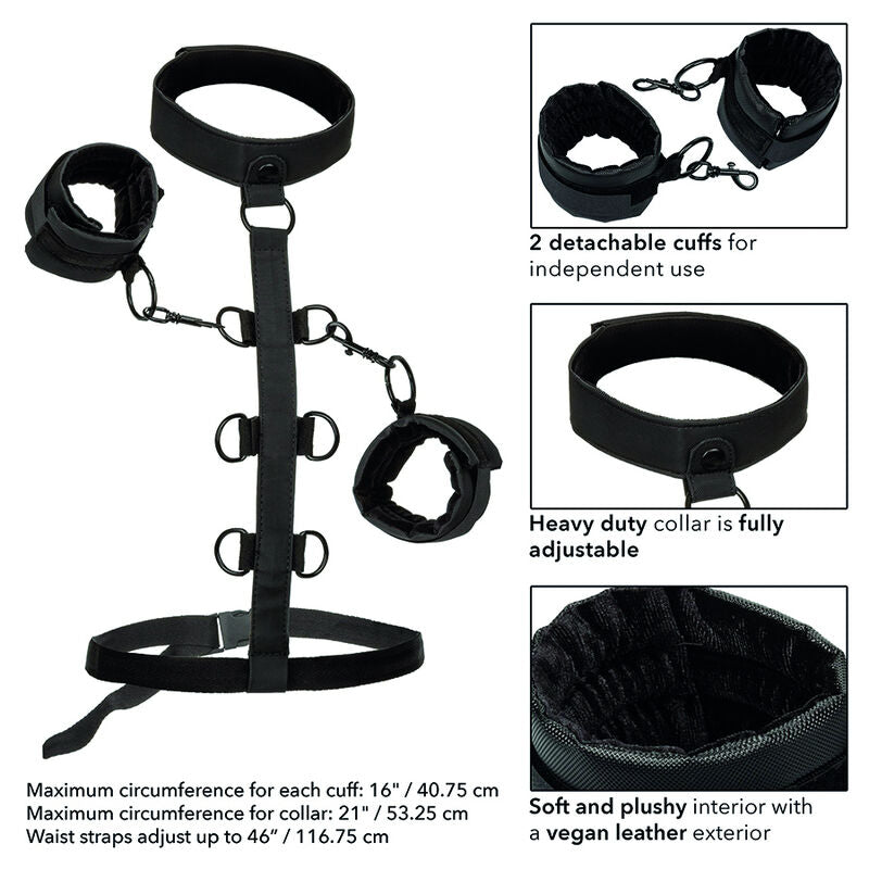 CALEXOTICS - BOUNDLESS BODY AND NECK SUPPORT