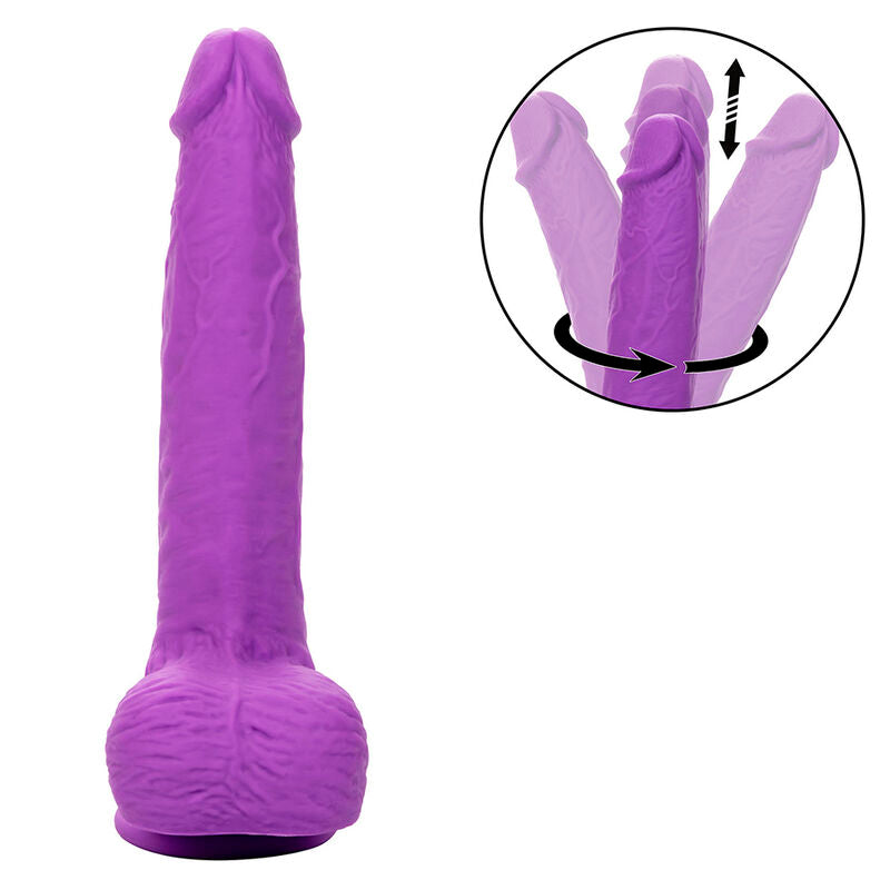 CALEXOTICS - STUDS RECHARGEABLE AND ROTATING VIBRATOR 10 VIBRATIONS VIOLET