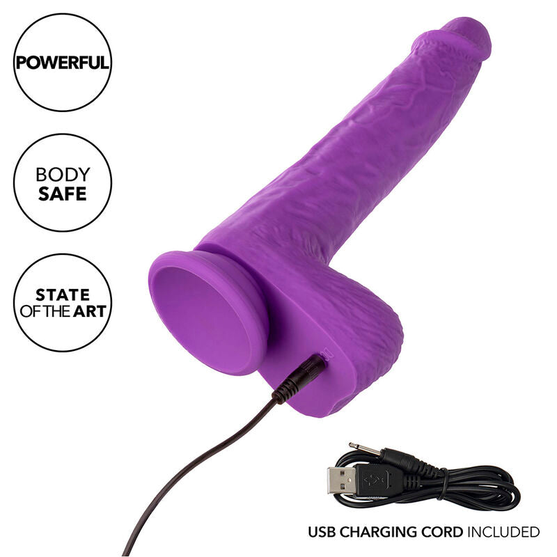 CALEXOTICS - STUDS RECHARGEABLE AND ROTATING VIBRATOR 10 VIBRATIONS VIOLET