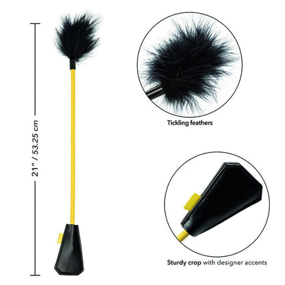 CALEXOTICS - BOUNDLESS FEATHER FARMING