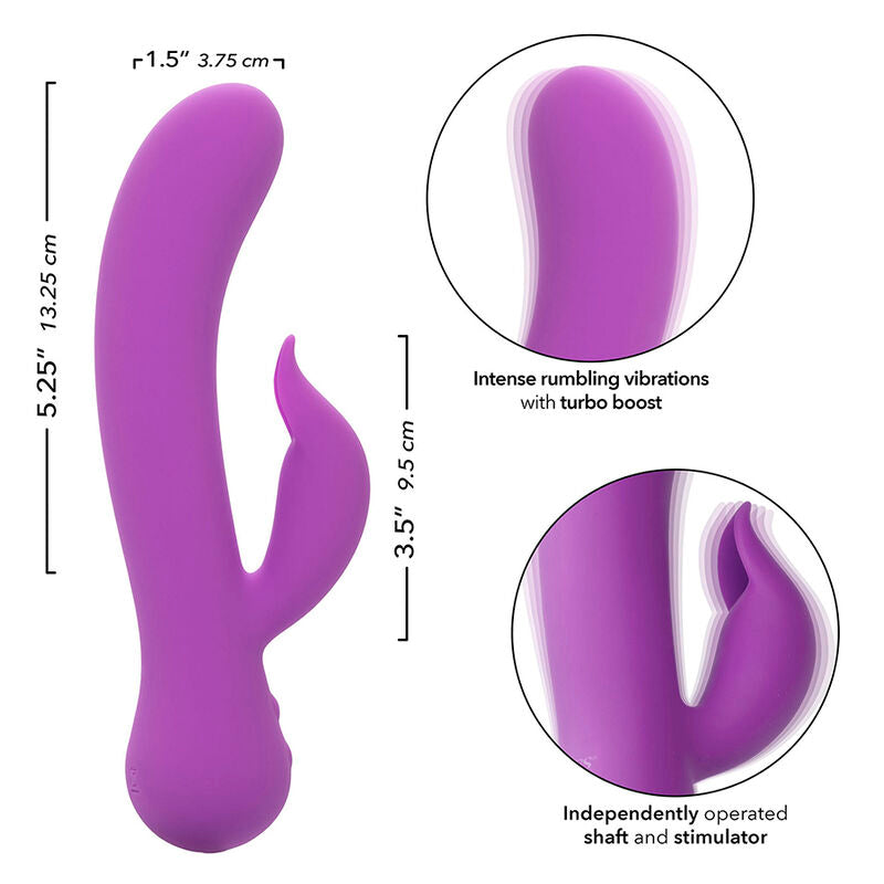 CALEXOTICS - FIRST TIME RECHARGEABLE PLEASING VIBRATOR PURPLE