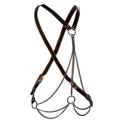 CALEXOTICS - EUPHORIA PREMIUM MULTI-CHAIN ​​HARNESS PLUS SIZE