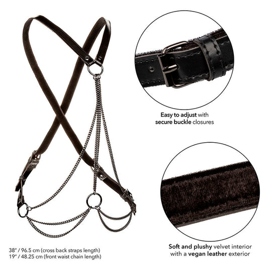 CALEXOTICS - EUPHORIA PREMIUM MULTI-CHAIN ​​HARNESS PLUS SIZE
