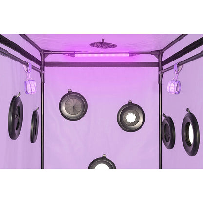 SECRET DOME - KINK CLUB CABINA SCANDALE MORADO